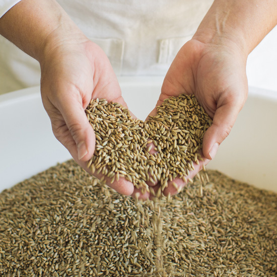 grist flour