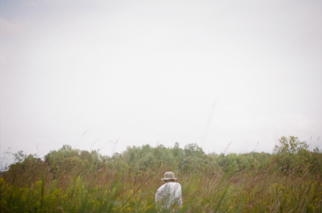 Saluting the Honeybee - Life & Thyme