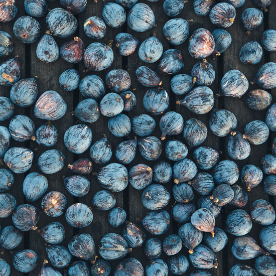 The Fig Farmer of Maywood Farms Life & Thyme