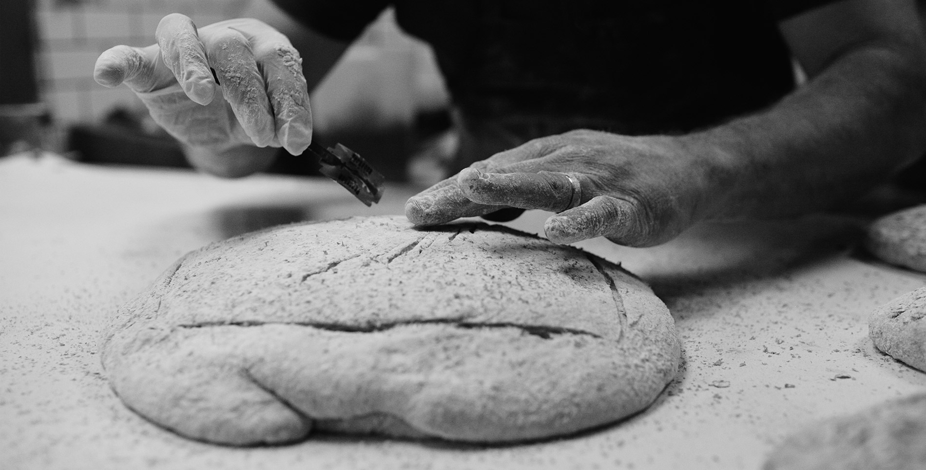 Loaves with a Soul: Moxie Bread Co.