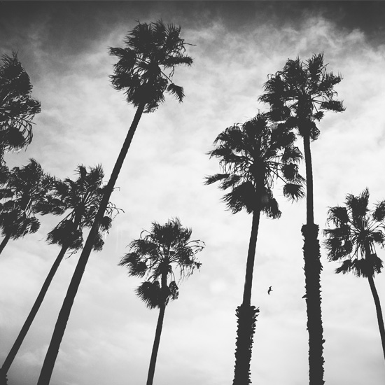 Santa Barbara: The American Riviera - Life & Thyme