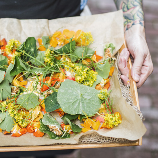 Rooting for Healthier Communities with Akasa