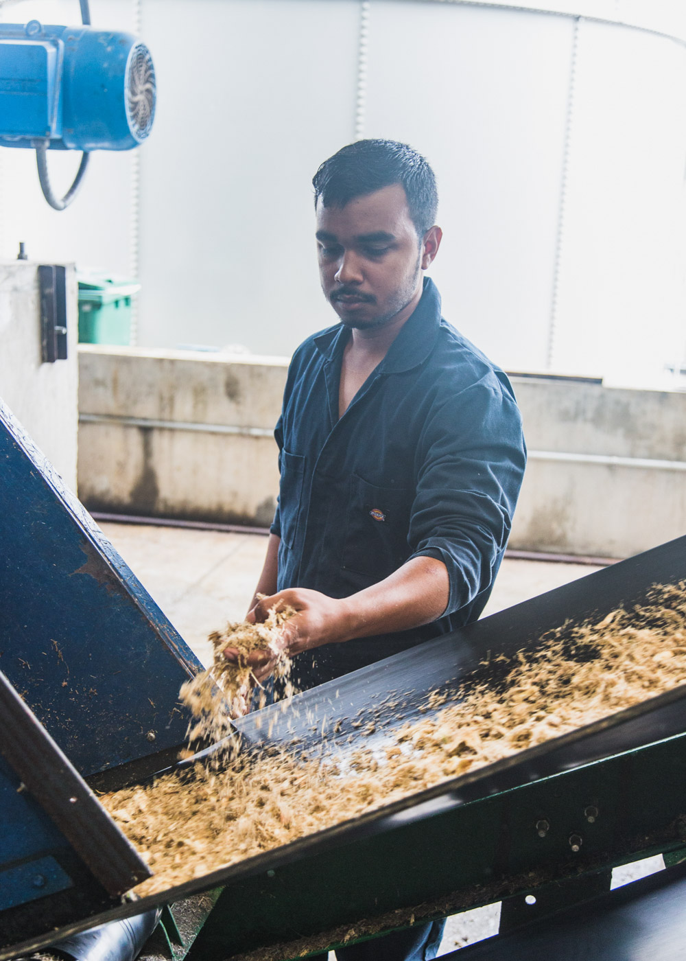 Tree Distiller Belize’s Copal Tree Distillery Puts Soul into Spirits - Life & Thyme