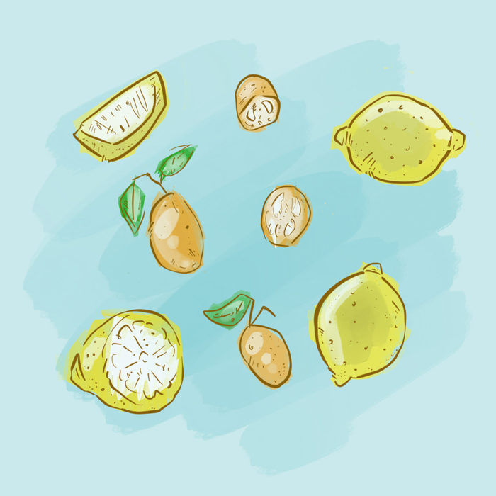 kumquats-lemons