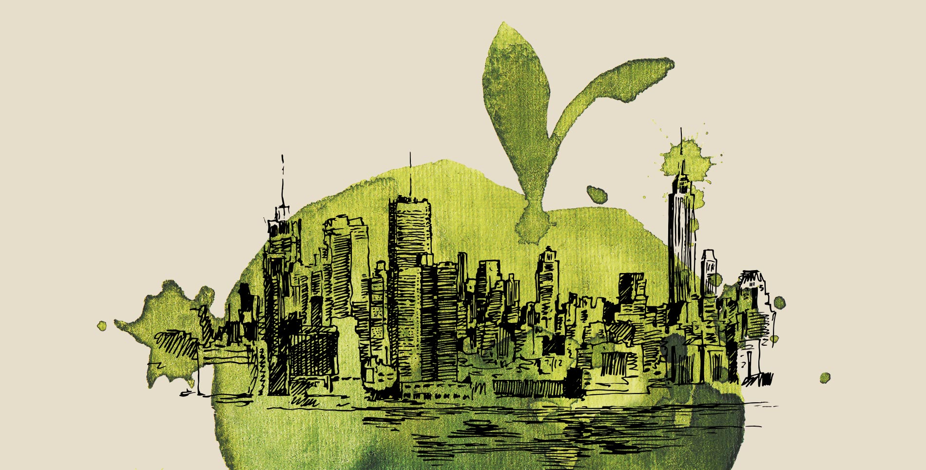 Eco-Friendly Efforts in New York