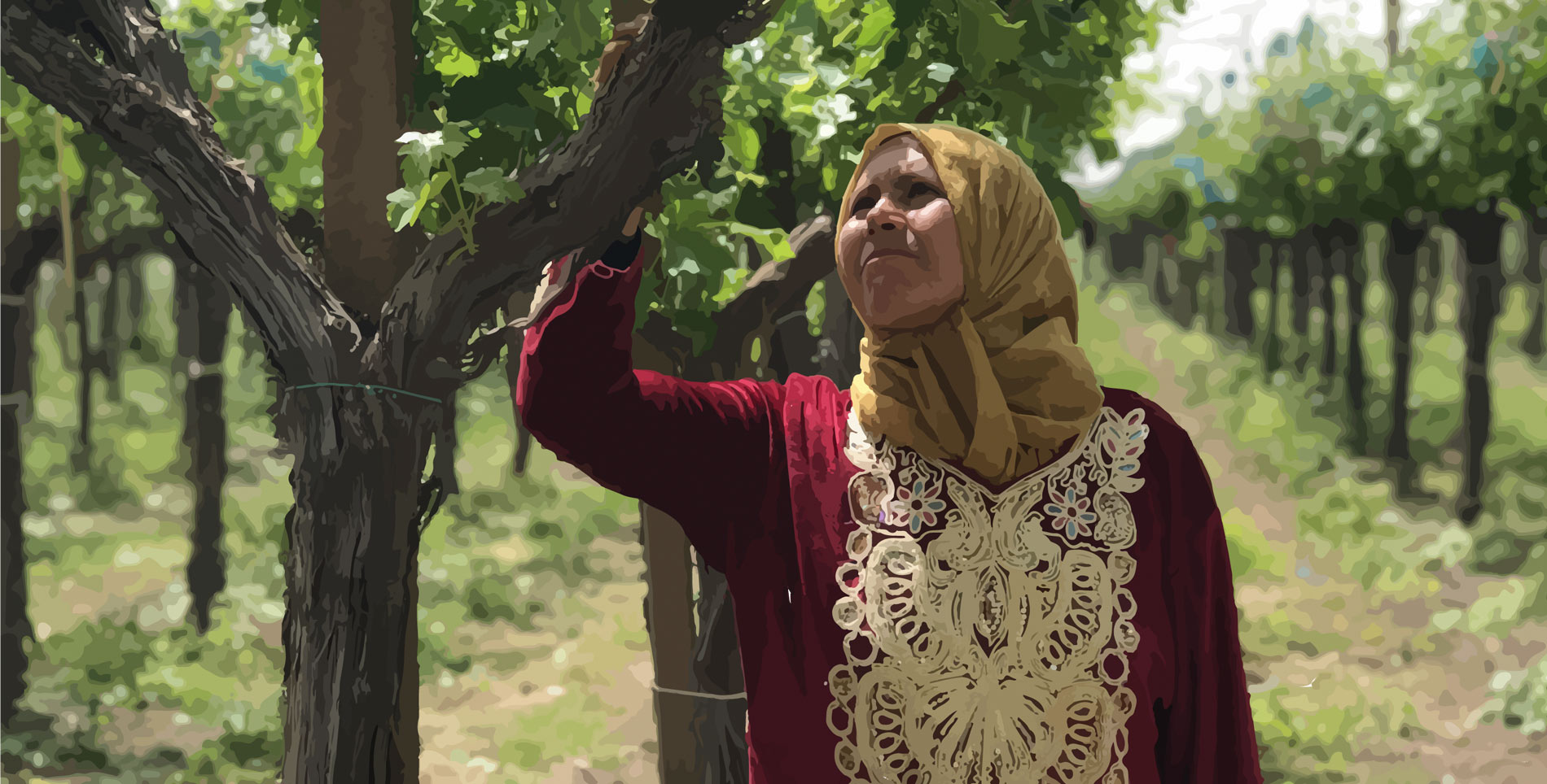 The Women Shaping Tunisia’s Olive Oil Industry