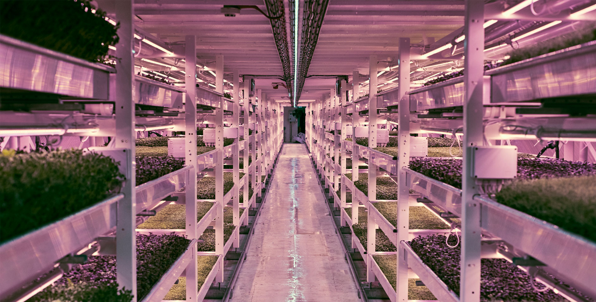 In London, Growing Underground Looks for Long-term Farming Solutions
