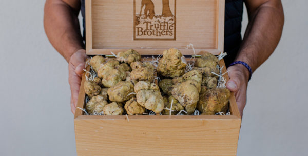 A Challenging Trade-Off with Los Angeles’ Truffle Brothers