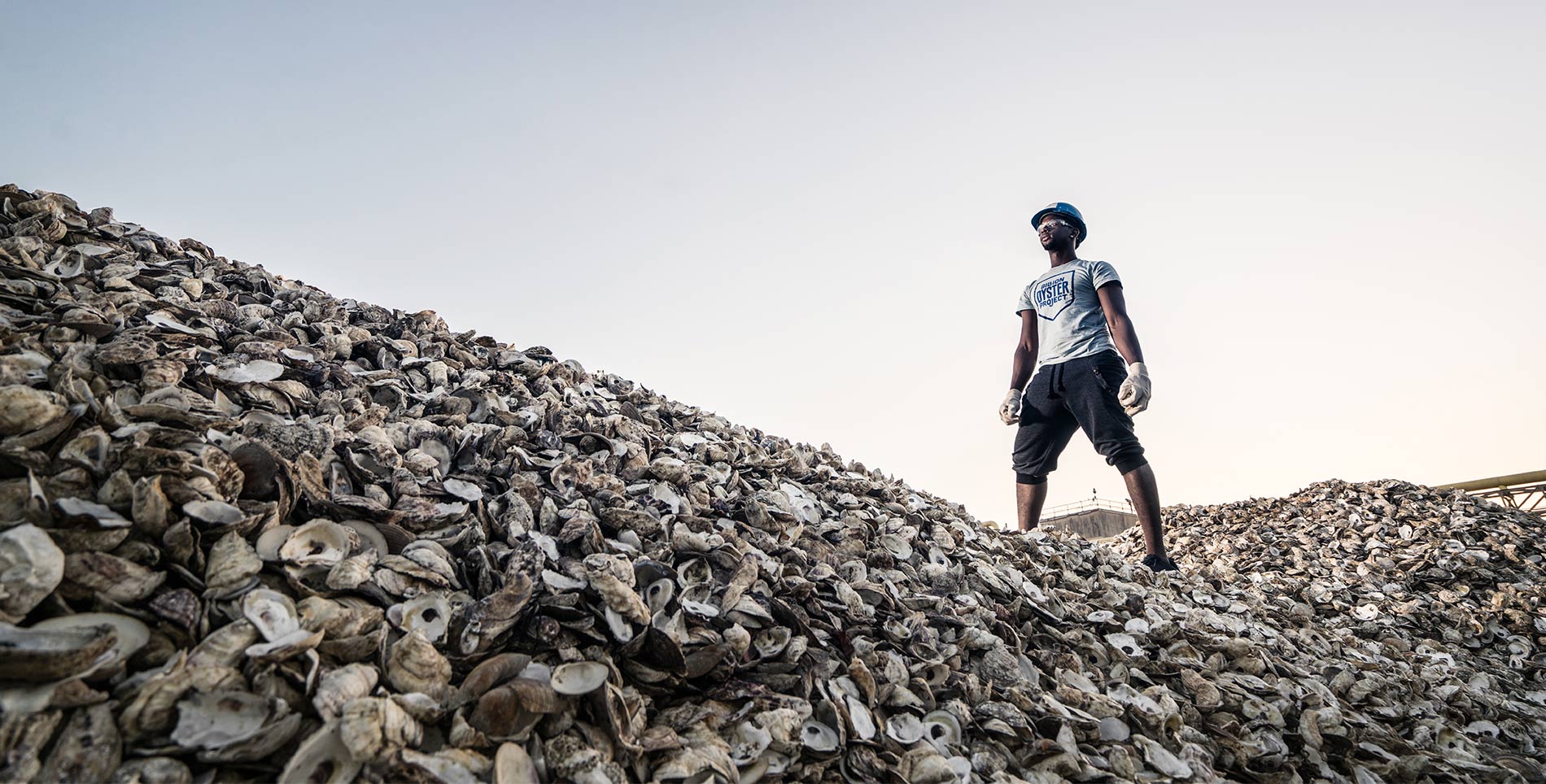 Billion Oyster Project Builds on Centuries of New York History