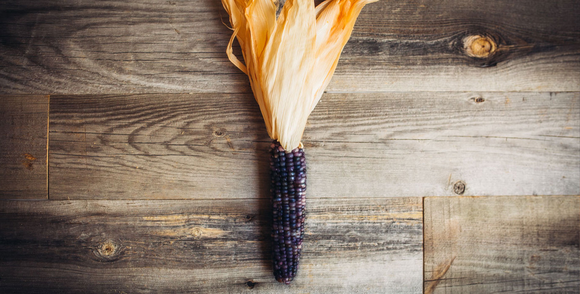Acoma Blue Corn Restored To Its Community of Origin