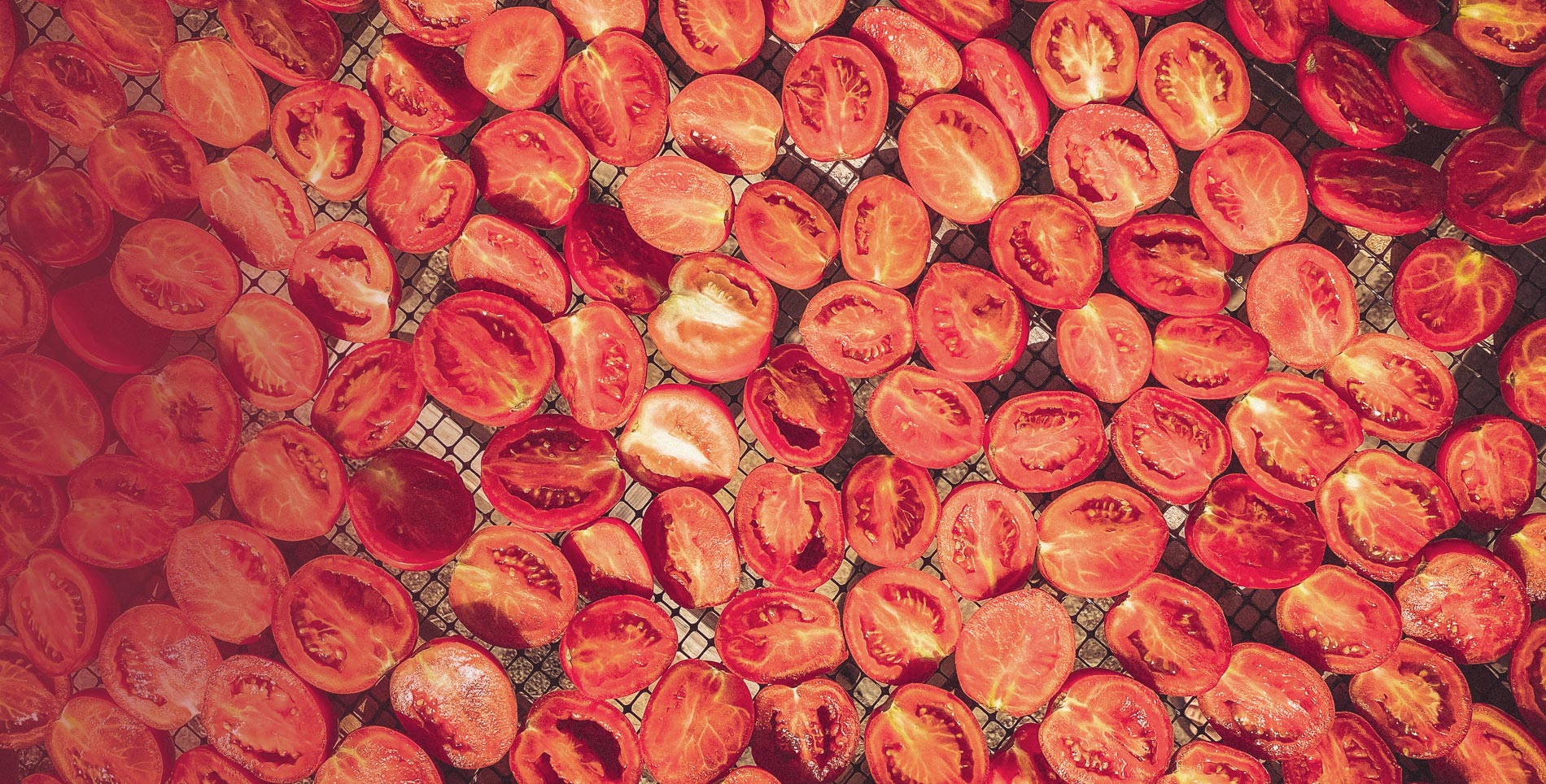 Pomodoro Siccagno and the Past and Future of Food Preservation Traditions in Sicily